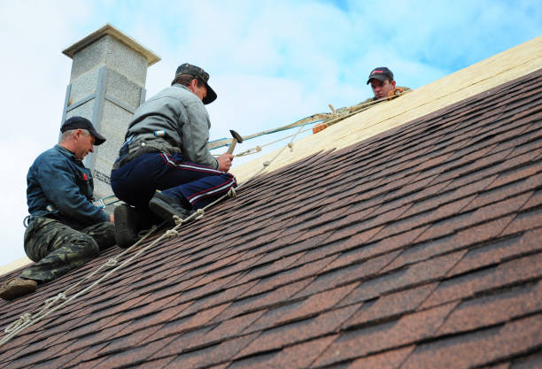 Best Storm Damage Roof Repair  in Rockdale, IL